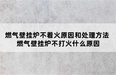 燃气壁挂炉不着火原因和处理方法 燃气壁挂炉不打火什么原因